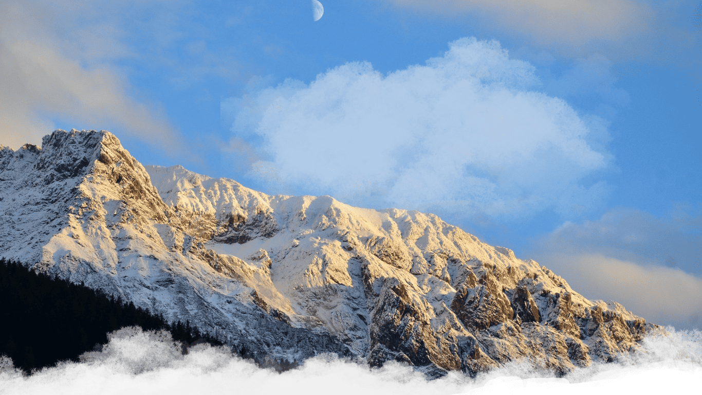 mountants